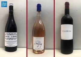 La cata: los vinos recomendados de la tercera semana de marzo
