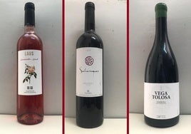 La cata: los vinos recomendados en la última semana de marzo