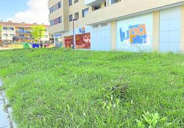 Situación en la que se encuentra un céntrico jardín, próximo a la calle Severo Ochoa.