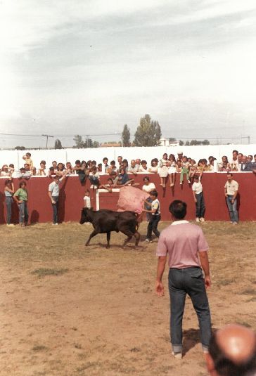 Festejos taurinos.
