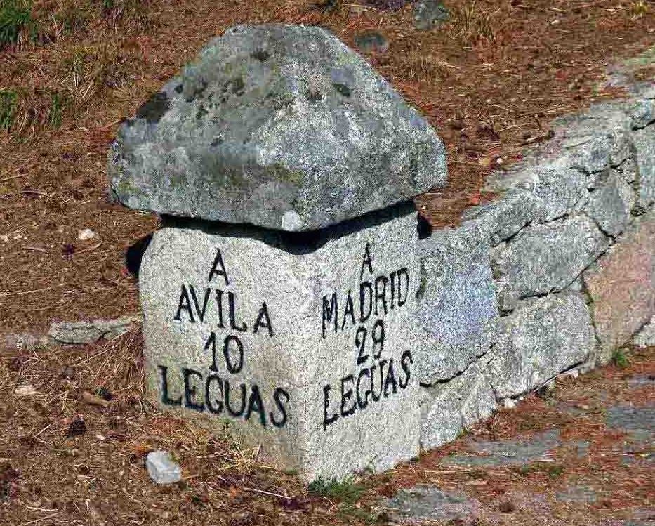 Leguario en la Sierra de Gredos.