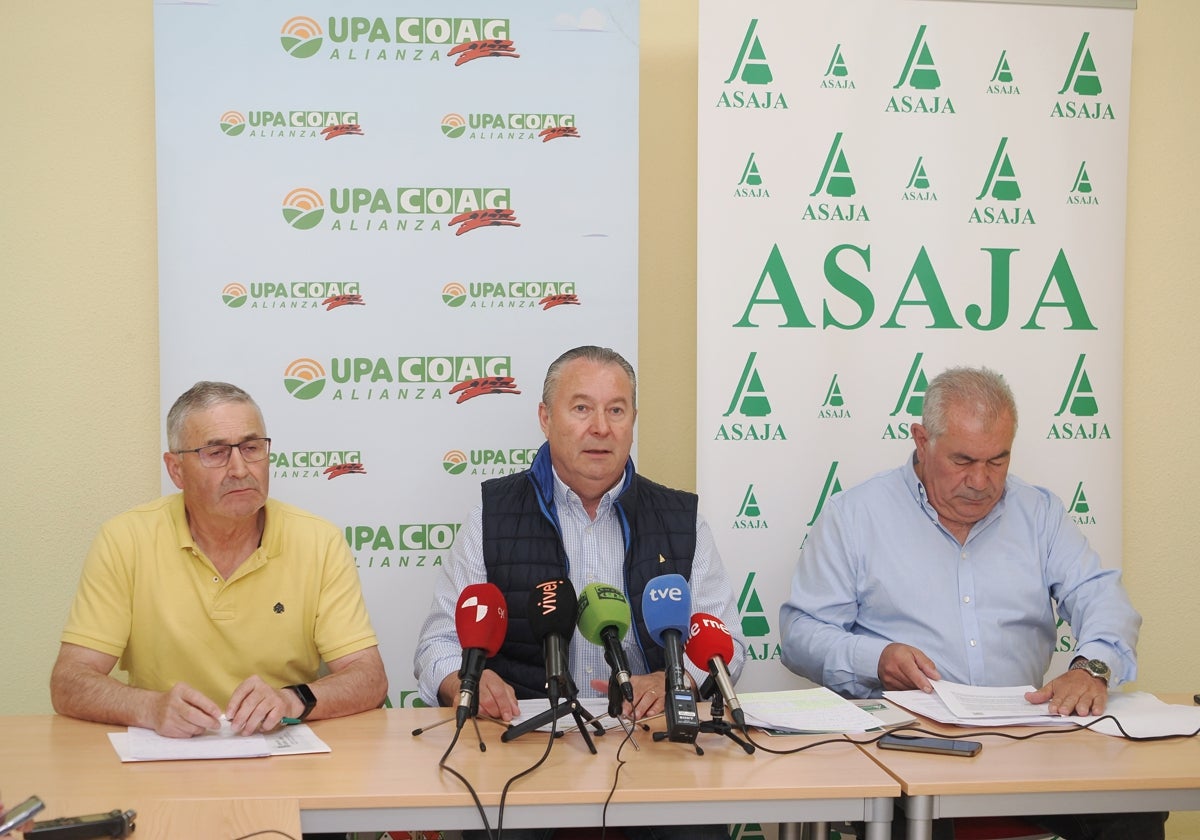 Asaja y la Alianza reclaman un control de las importaciones de cereal de Ucrania