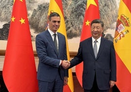 Extraños compañeros de cama