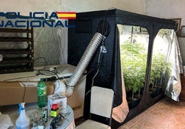 Interior del garaje de Trujillanos en el que había una plantación de marihuana.