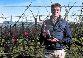 Rafa Vivanco, con su vino Brunes, en un viñedo y con la localidad de Briones al fondo.