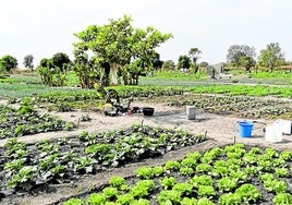 Proyecto de Alianza por la Soridaridad en Senegal.