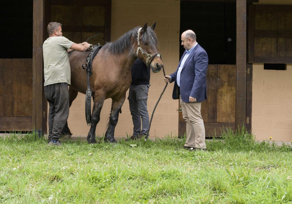 Carlos Echapresto observa cómo atienden a uno de los caballos de la granja.