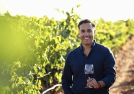 Vinarchy, con Campo Viejo como principal referencia, nombra a Aldo Barrios director general en España
