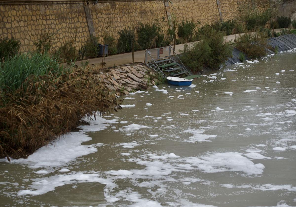 La CHS externaliza los análisis de la espuma blanca en el río Segura en Murcia para dar con los culpables