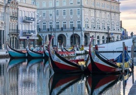Moliceiro boats line up in the Portuguese city of Aveiro.