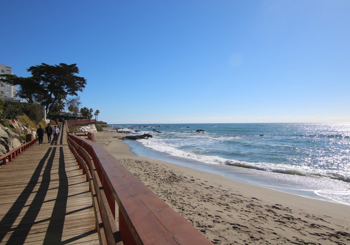Mijas marks World Oceans Day with beach clean-up initiative